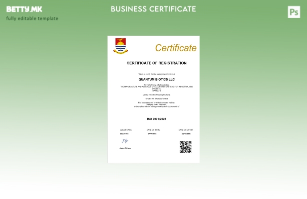 Модерен стил на Кирибати сертификат за регистрација на бизнис Шаблон за Word и P